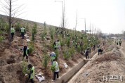 성남시는 식목일을 맞아 4월 5일 오전 중원구 여수동 75-1번지 일원 수도권 제1순환 고속도로변 사면에 나무 430그루를 심었다.jpg