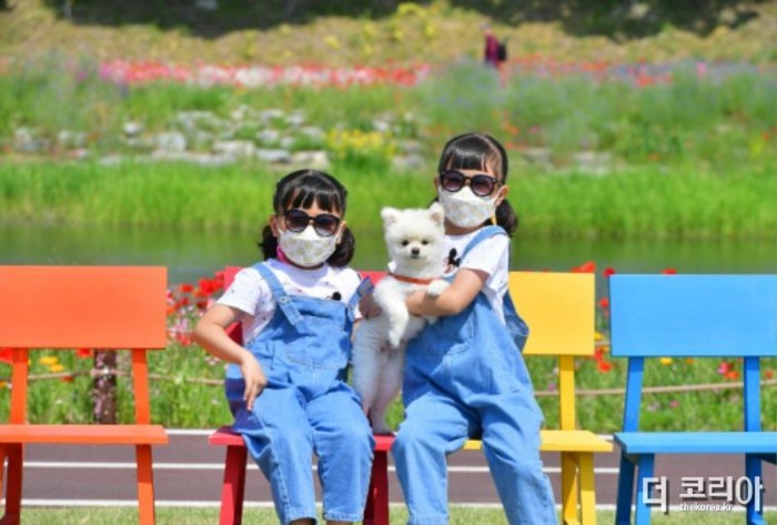 장성 황룡강 (洪)길동무 꽃길축제의 체험 프로그램이 큰 인기를 끌고 있다 (3).JPG