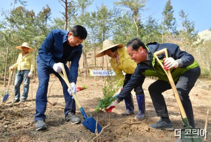 장성군이 21일 성산리 밀등마을에서 제78회 식목일 기념행사를 가졌다. 편백나무 식재 중인 김한종 장성군수(좌측).JPG