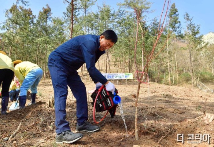 장성군이 21일 성산리 밀등마을에서 제78회 식목일 기념행사를 가졌다. 편백나무 식재 중인 김한종 장성군수 (1).JPG