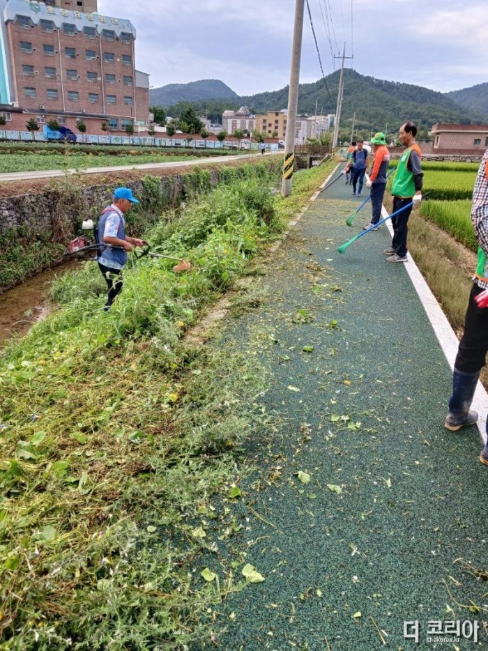 무안읍자율방재단 만창천 산책로 풀베기 봉사활동 (1).JPG