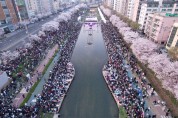 은평구, 꽃과 함께한 벚꽃 축제 ‘은평의 봄’ 성료