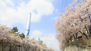 ‘봄의 향연 마포구’ 벚꽃이 수놓은 명소를 소개합니다