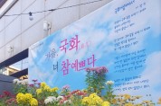 국화꽃 향기 가득한 금천구 독산4동 주민센터, 가을 정취 만끽하세요