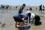 인천시, 환경교육프로그램 참가자 모집