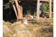 전주동물원, 설 연휴 4일간 정상 운영