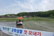 강화군, 풍년 예약! 최고 품질 강화섬쌀 첫 모내기