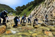 옹진군 수산종자연구소 어린 감성돔 23만미 방류