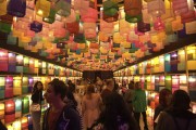 브라질 최대 도시 상파울루에서‘진주의 빛 특별전’개막