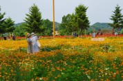 가평군, 자라섬 남도 봄꽃정원 개화
