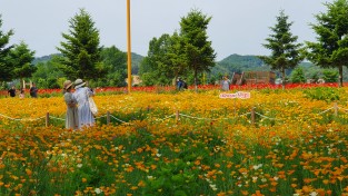 가평군, 자라섬 남도 봄꽃정원 개화