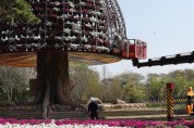 함평나비대축제 성공 기원 ‘대형 꽃탑’ 올려요