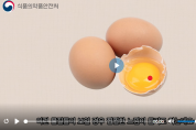 달걀의 빨간 점 정체는?