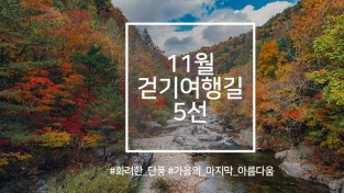 한국관광공사 추천 11월 걷기여행길, 영화·드라마 속 걷기여행길